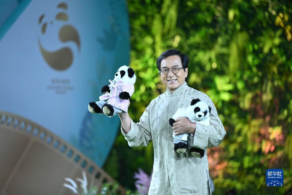 娱乐门户网站
